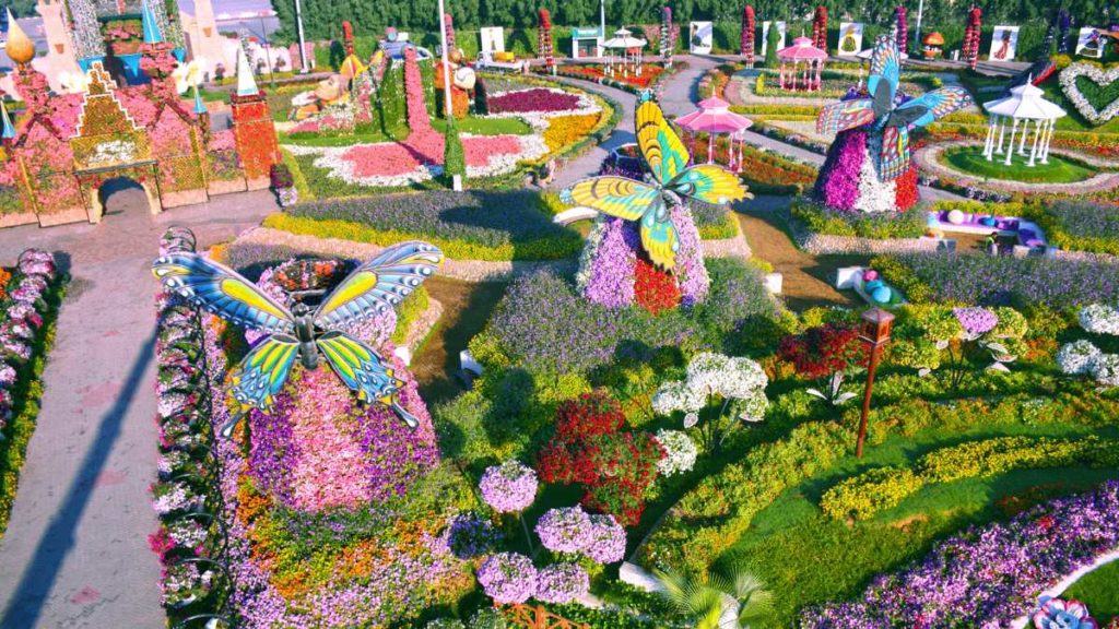 170509135336-dubai-miracle-garden—butterfly-display_20190513170550