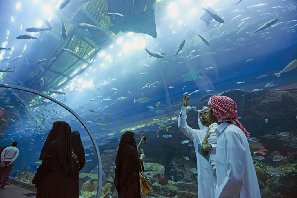 45cd4da606646aede9d2b6b3576bc592-dubai-aquarium-underwater-zoo