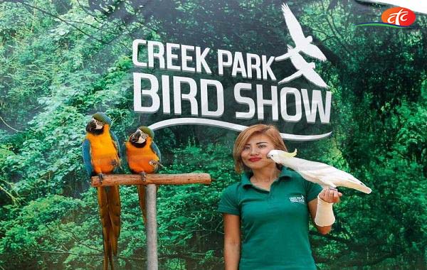 creek-park-bird-show