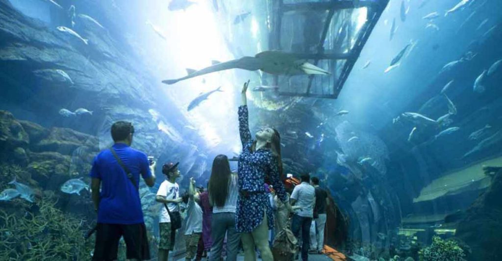 dubai-aquarium-1